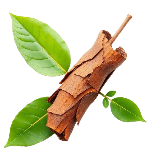 Catuaba