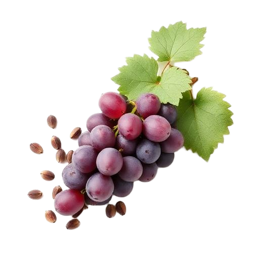 Grape Seed